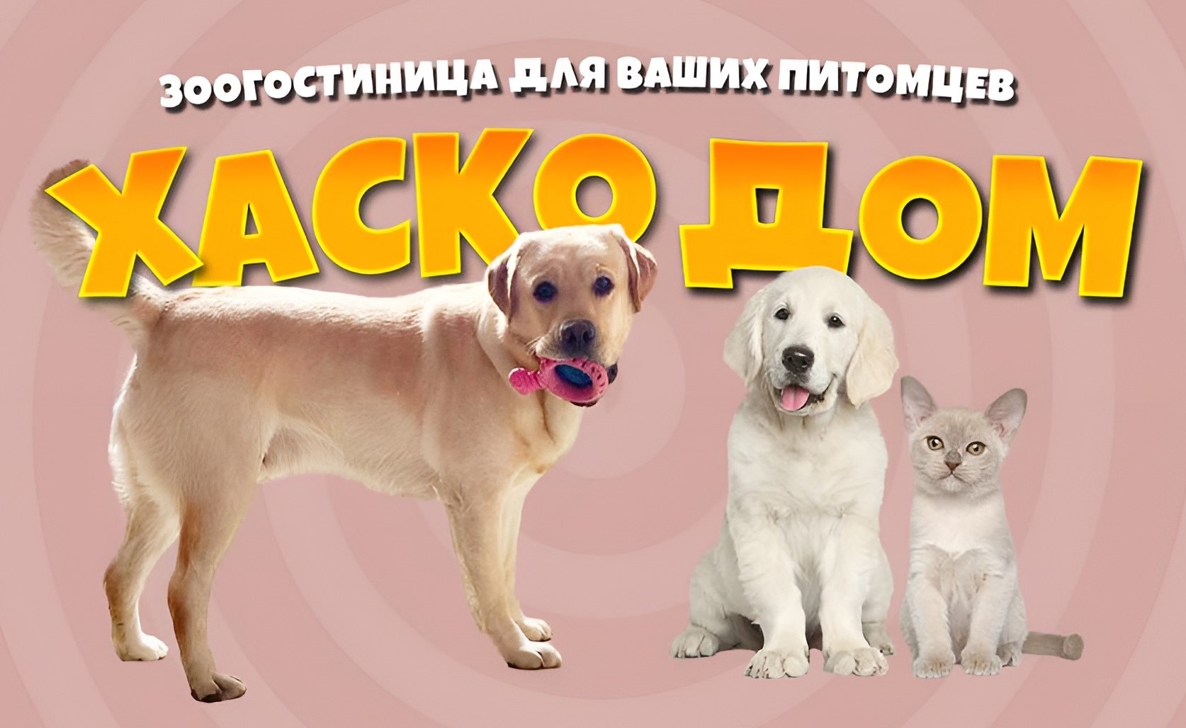 Хаскодом